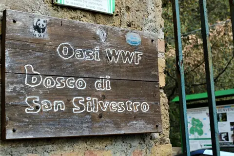 Europa in San Marcellino, foto 3
