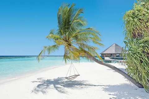 Vilamendhoo Island Resort & Spa in Vilamendhoo Island Resort & Spa — foto 13