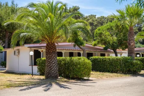 Camping Grotta Dell Acqua foto 4