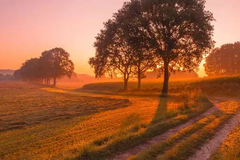 Hotel De Gulden Waagen foto 15