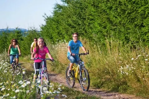 Het Wapen van Alblasserdam foto 12
