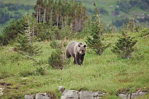 Ontdek Alaska foto 13