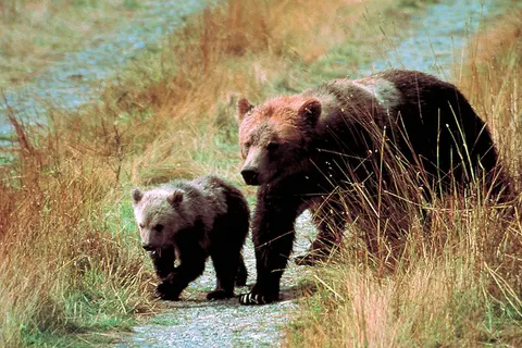 Western Journey foto 3