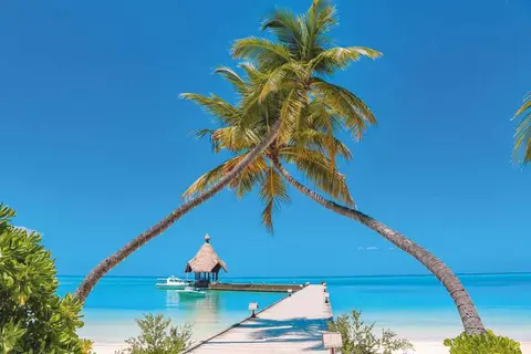 Canareef Resort Maldives in ހިތަދޫ — foto 14