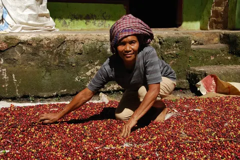 Ontdek Noord-Sumatra en relax op Bali foto 18