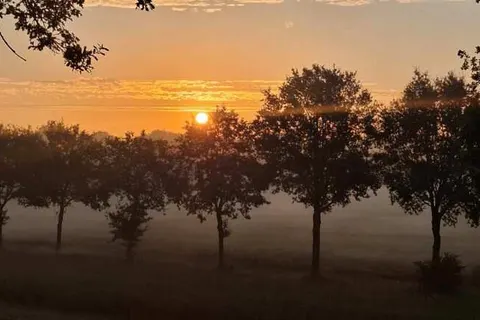 All in Boutique Hotel Het Witte Veen foto 28