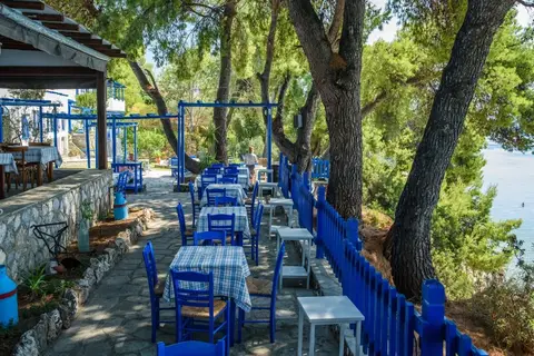 Virginia Hotel in Δημοτική Ενότητα Σιθωνίας — foto 8