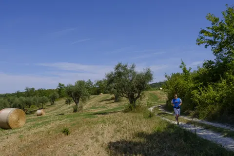 Camping Mar Y Sierra foto 20