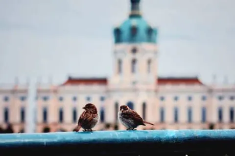 2-daagse busreis Berlijn foto 4