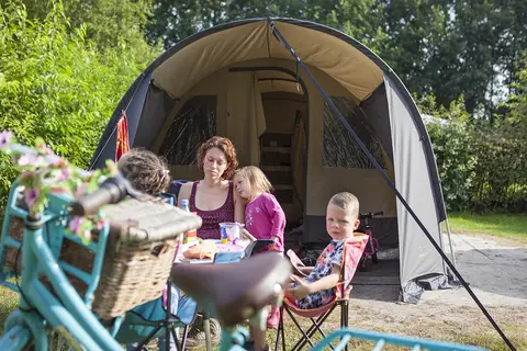 Camping De Reeënwissel in Hoogersmilde — foto 21