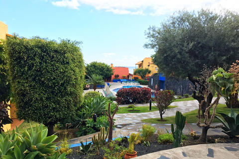 Appartementen La Caleta foto 22