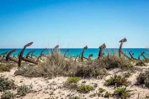 Vakantiepark Pedras Del Rei in Tavira — foto 34