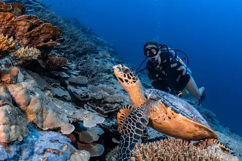 Park Hyatt Maldives Hadahaa in ގާފަރު Gaafaru — foto 21