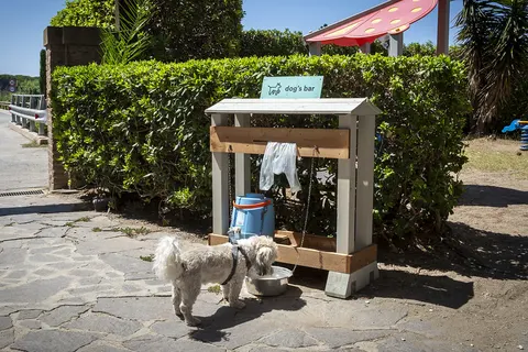 Hu Park Albatros Village foto 19