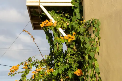Elpis Studio-Apartments in Μπαλί — foto 28