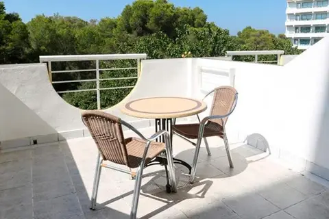Manaus in Palma — foto 3