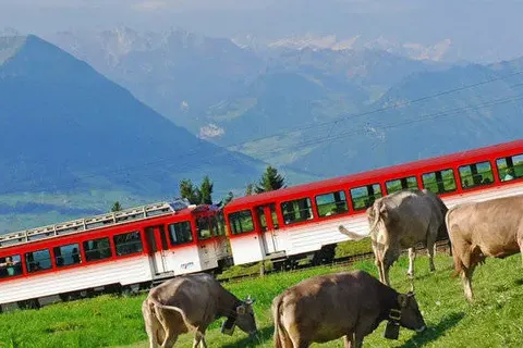 Seehotel Pilatus in Hergiswil — foto 18