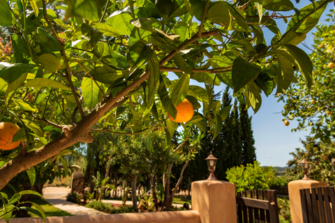 Xarc Agroturisme foto 12