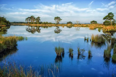 Kraaijenbergse Plassen foto 12