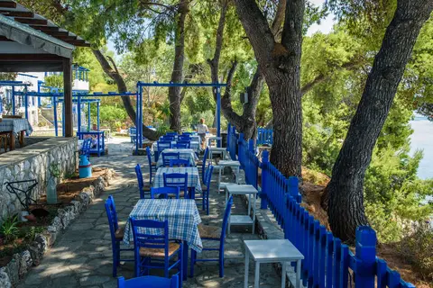 Virginia Hotel in Δημοτική Ενότητα Σιθωνίας — foto 7