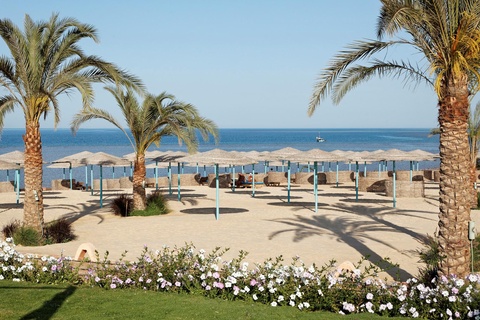 Three Corners Sunny Beach Resort in Al Ahia' — foto 2