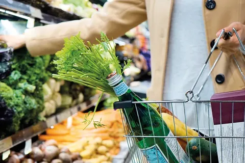 Camping Pino Mare foto 20