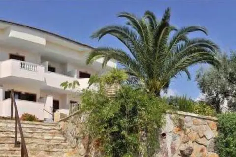 Aristotelis in Aristotelis, foto 19