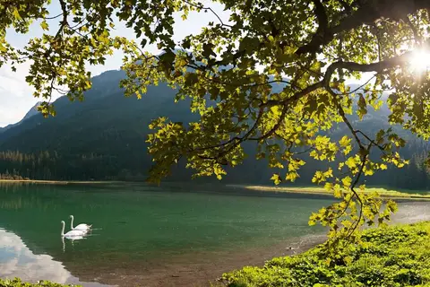 Familienurlaub Hoch 2 in Wagrain — foto 15