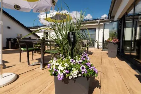 Vis Saar Vie foto 15