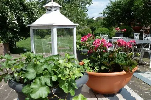 Hotel Zum Alten Brauhaus foto 10