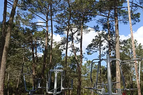 Camping Domaine De Montcalm in Les Mathes — foto 10
