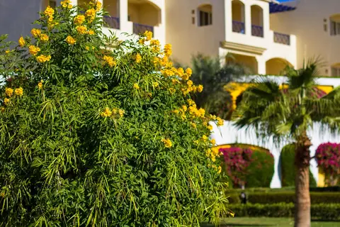 Grand Oasis Resort in Sharm El Sheikh, foto 18