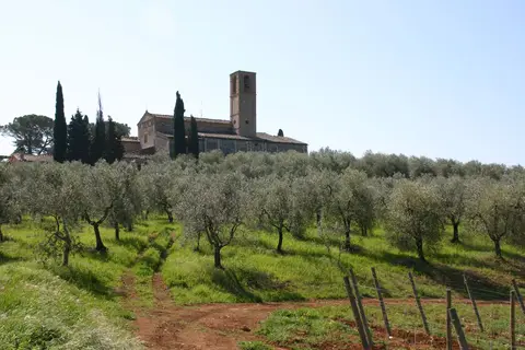 Camping Ii Boschetto Di Piemma in San Gimignano — foto 26
