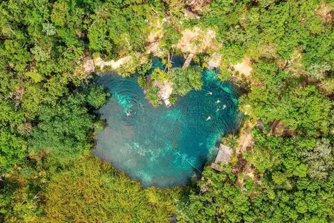 The Yellow Nest in Manuel Antonio Ay, foto 6
