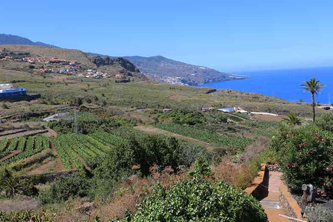 Appartementen Miranda foto 15