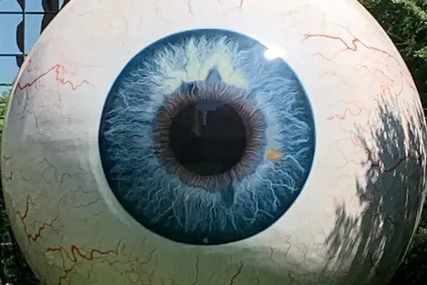 Texas op het gemak foto 2