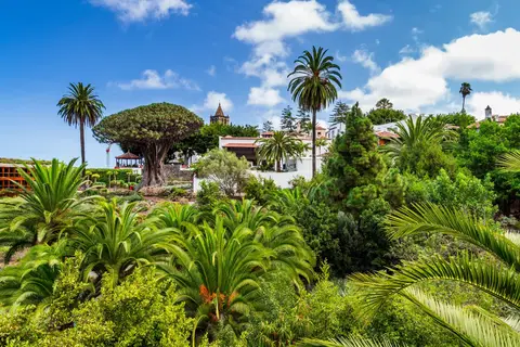 Ontdek Tenerife vanuit Puerto de la Cruz in Puerto de la Cruz — foto 6