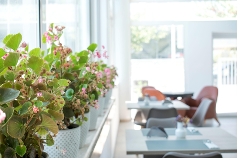 Appartementen Anastasia foto 7