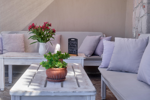 Appartementen Little Bird foto 8