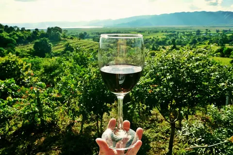 Le Luberon in Saignon — foto 23