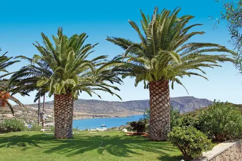 Amoopi Bay Hotel in Karpathos Municipal Unit, foto 5