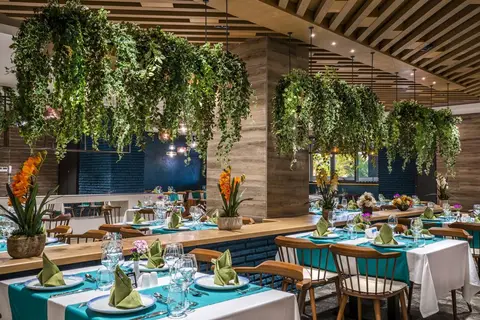 Calyptus Kirman Premium in Manavgat — foto 27