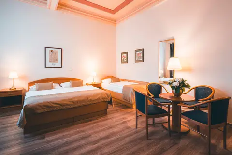 Hotel Ariston & Ariston Patio in Praag — foto 22