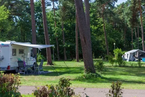 Oostappen Vakantiepark Boschbeek foto 3