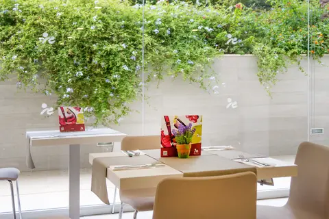 Globales Panama in Palmanova — foto 12