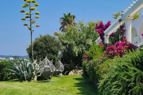 Hotel Albatros in Forio, foto 22