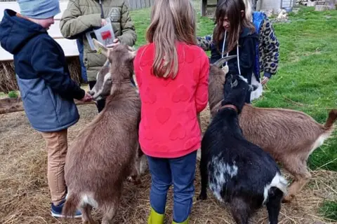 Vodatent Camping de Tulpenweide in Breezand — foto 13