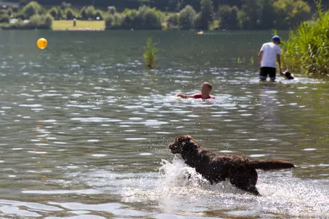 Camping Caldonazzo Family Collection foto 27