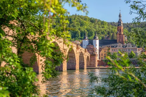Door het romantische Rijndal naar Mainz met mps Johann Strauss foto 1