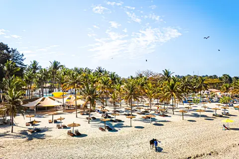 Palm Beach in Kotu — foto 12